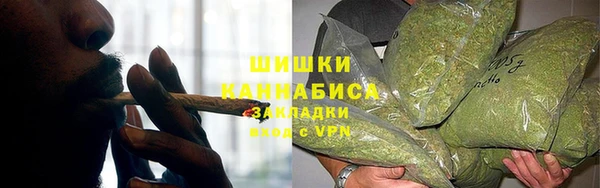 ПСИЛОЦИБИНОВЫЕ ГРИБЫ Краснослободск
