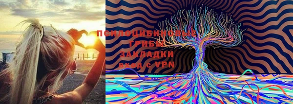 дурь Красноперекопск