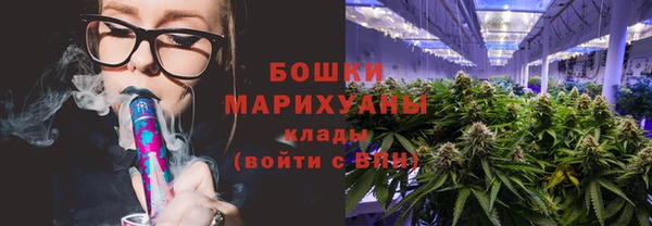ПСИЛОЦИБИНОВЫЕ ГРИБЫ Краснослободск
